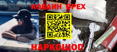 сатива Гай