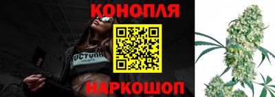 сатива Гай