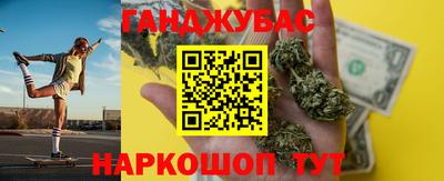 сатива Гай