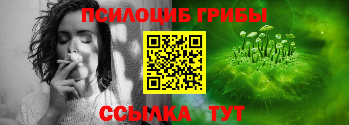 Волжский  Галлюциногенные грибы Psilocybe  Вход с VPN  как найти закладки  Псилоцибиновые грибы прущие грибы 
