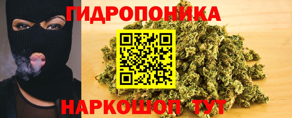Шишки марихуана гибрид Волжский